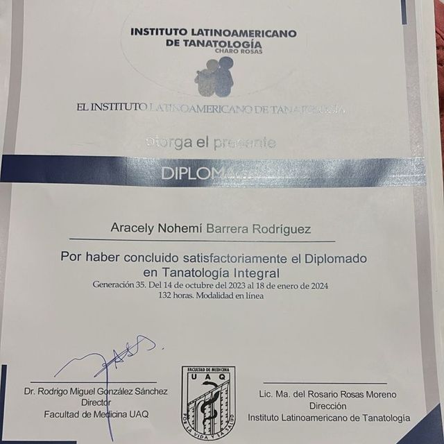 Ampliar imagen: certificate 1