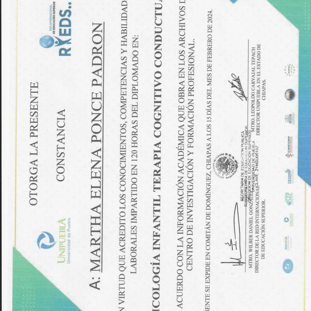 Ampliar imagen: certificate 4