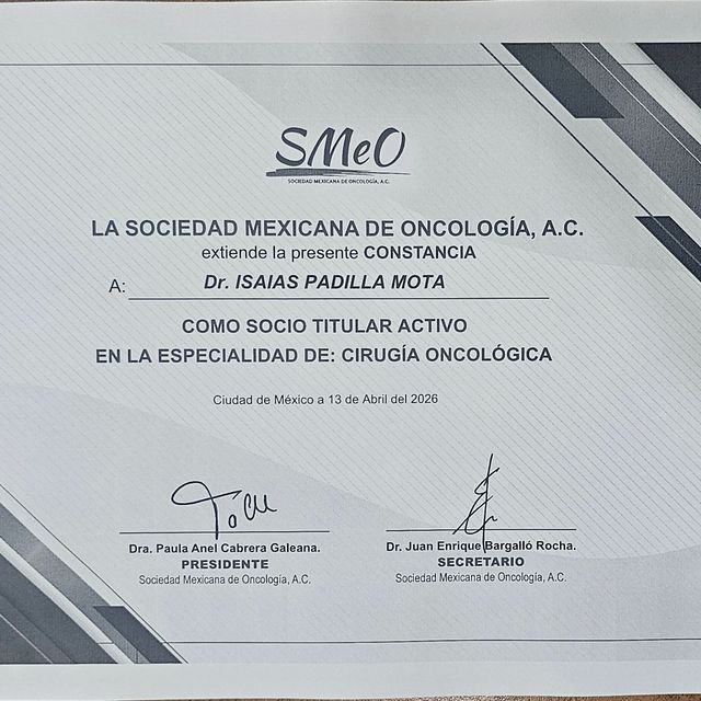 Ampliar imagen: certificate 8