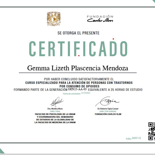 Ampliar imagen: certificate 4