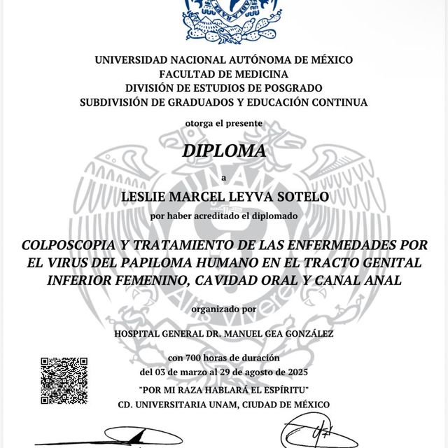 Ampliar imagen: certificate 2