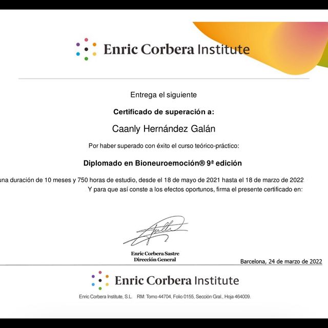 Ampliar imagen: certificate 1