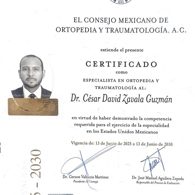 Ampliar imagen: certificate 2