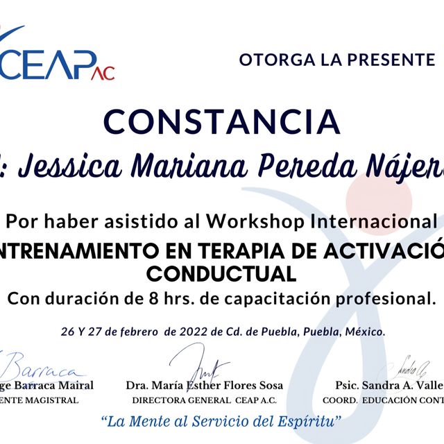 Ampliar imagen: certificate 3