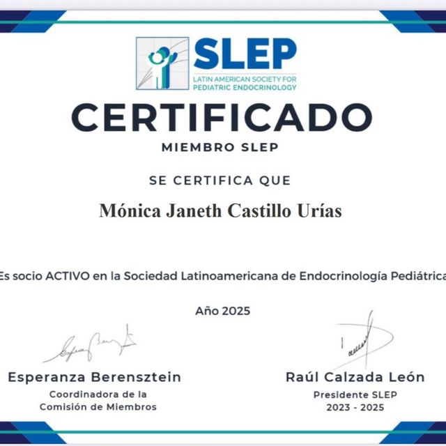Ampliar imagen: certificate 7