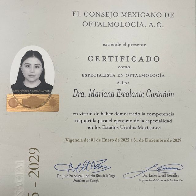 Ampliar imagen: certificate 1