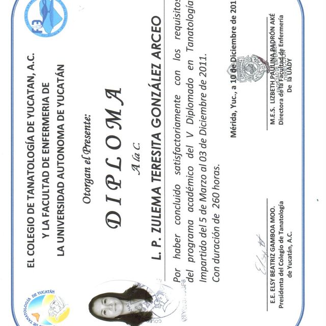 Ampliar imagen: certificate 40