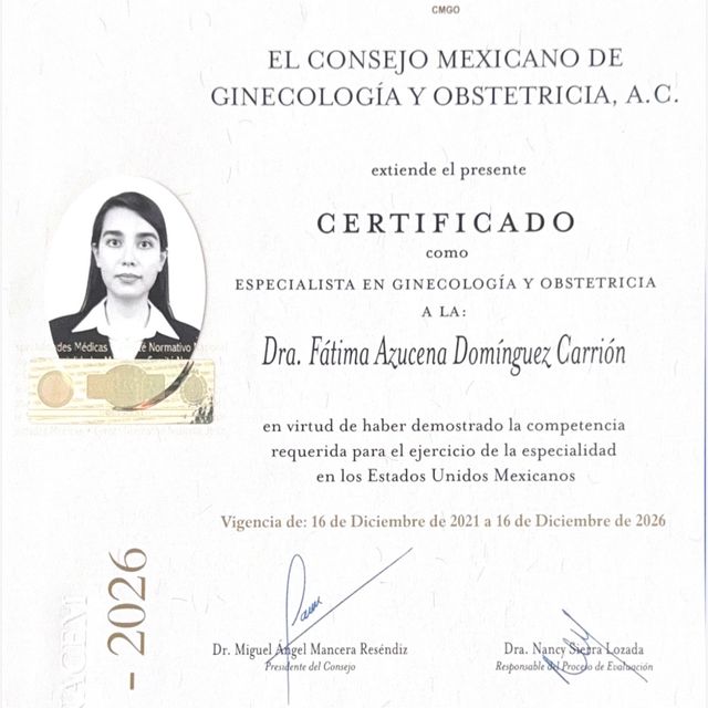 Ampliar imagen: certificate 4