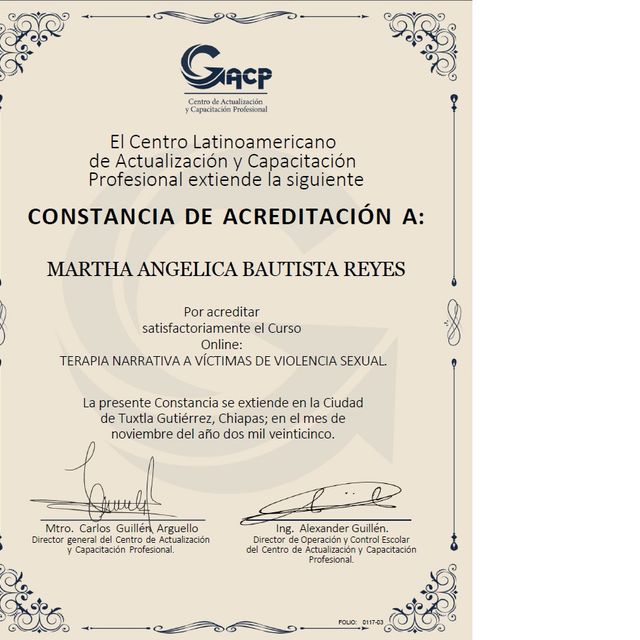 Ampliar imagen: certificate 7