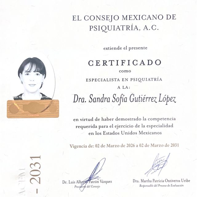 Ampliar imagen: certificate 3