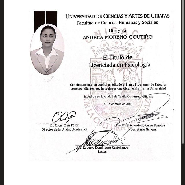 Ampliar imagen: certificate 4