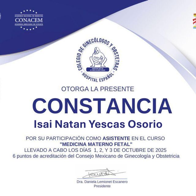 Ampliar imagen: certificate 2