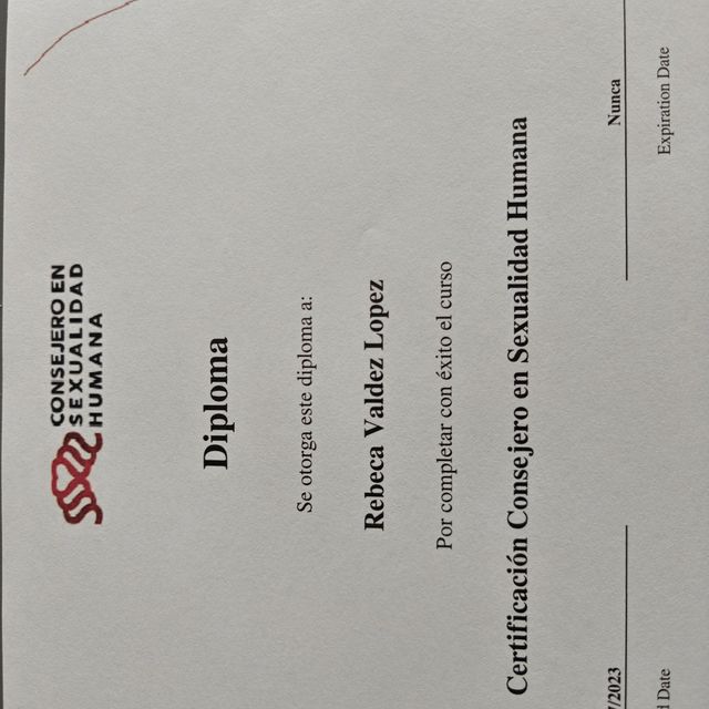 Ampliar imagen: certificate 3