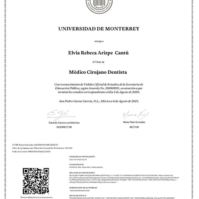 Ampliar imagen: certificate 1