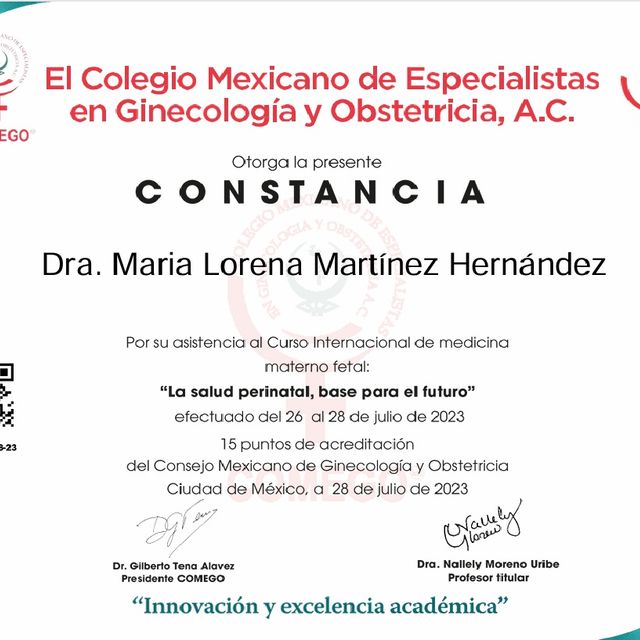 Ampliar imagen: certificate 12