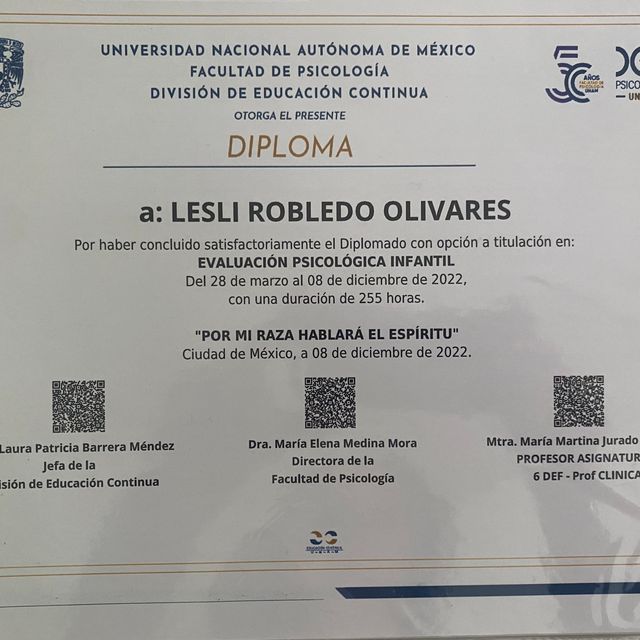 Ampliar imagen: certificate 5