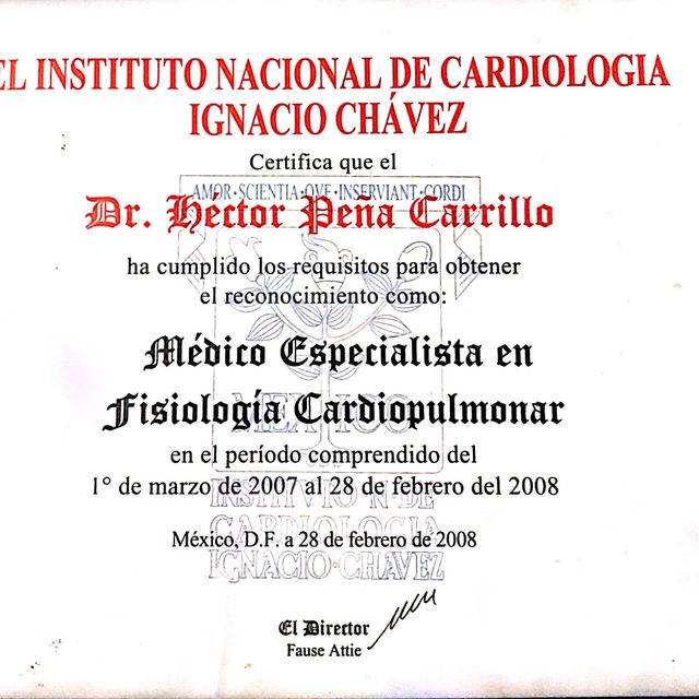 Ampliar imagen: certificate 3