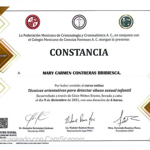 Ampliar imagen: certificate 5