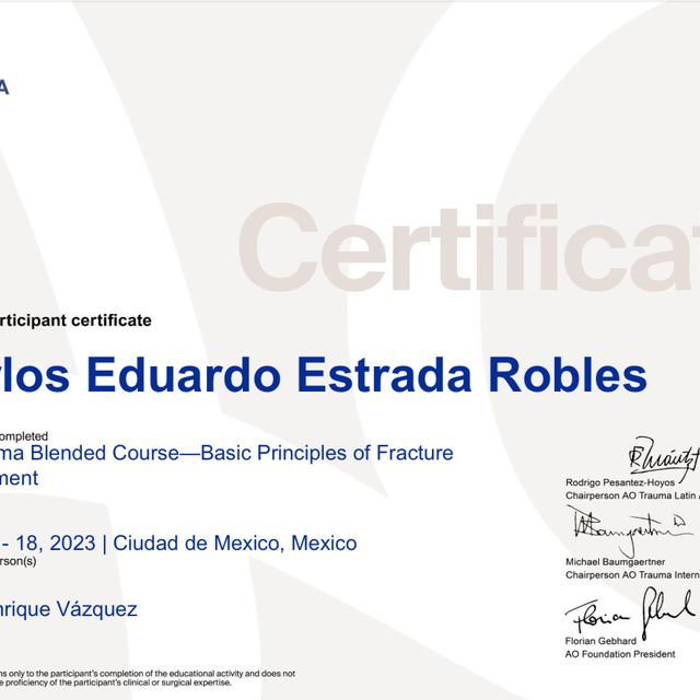 Ampliar imagen: certificate 3