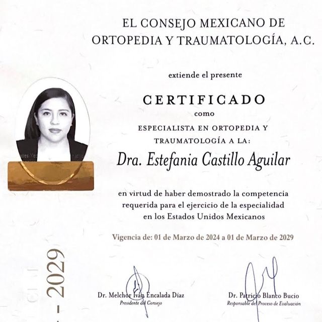 Ampliar imagen: certificate 1