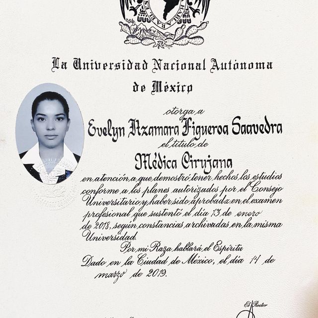 Ampliar imagen: certificate 1