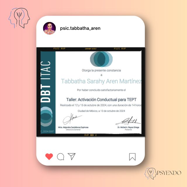 Ampliar imagen: certificate 14