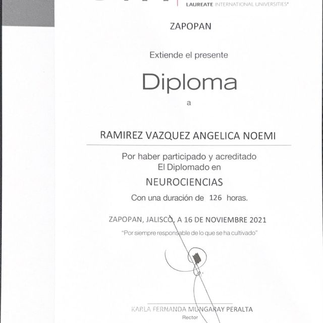 Ampliar imagen: certificate 3