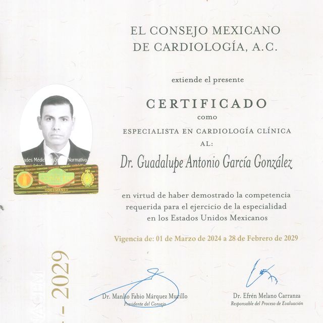 Ampliar imagen: certificate 1