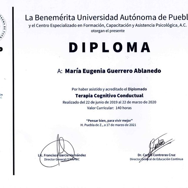 Ampliar imagen: certificate 3
