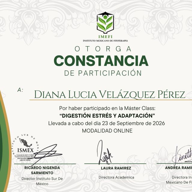 Ampliar imagen: certificate 1