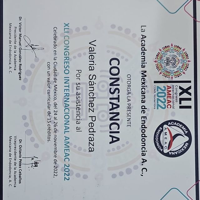 Ampliar imagen: certificate 13