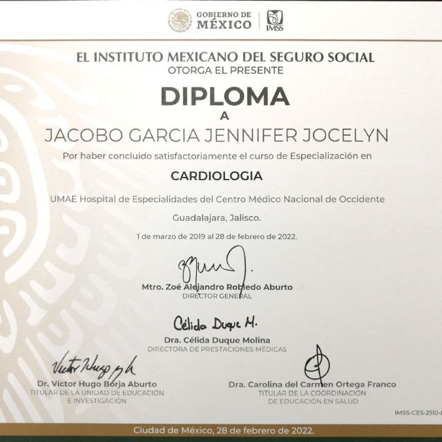 Ampliar imagen: certificate 6