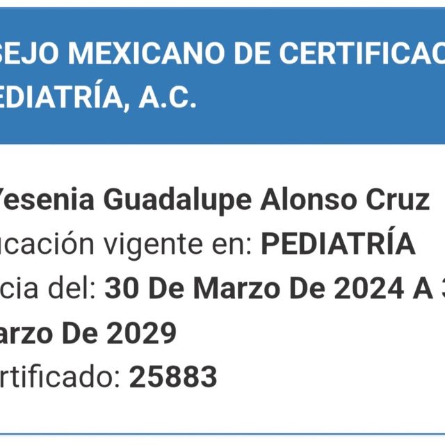 Ampliar imagen: certificate 5