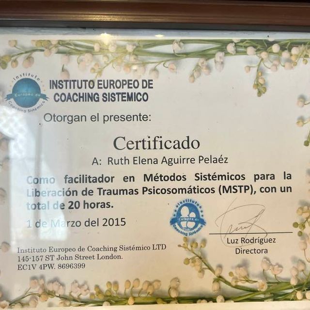 Ampliar imagen: certificate 4