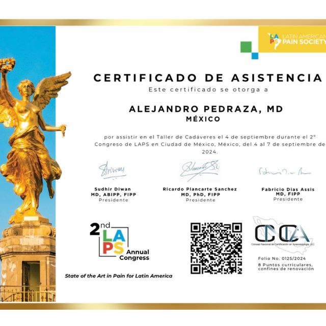 Ampliar imagen: certificate 12