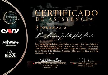 Ampliar imagen: certificate 10