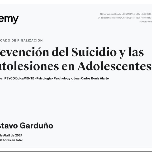 Ampliar imagen: certificate 2