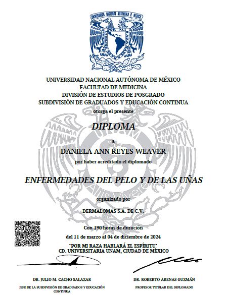 Ampliar imagen: certificate 2