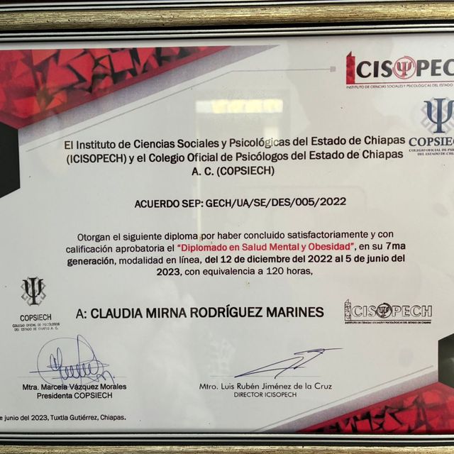 Ampliar imagen: certificate 3