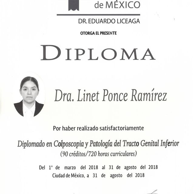 Ampliar imagen: certificate 1