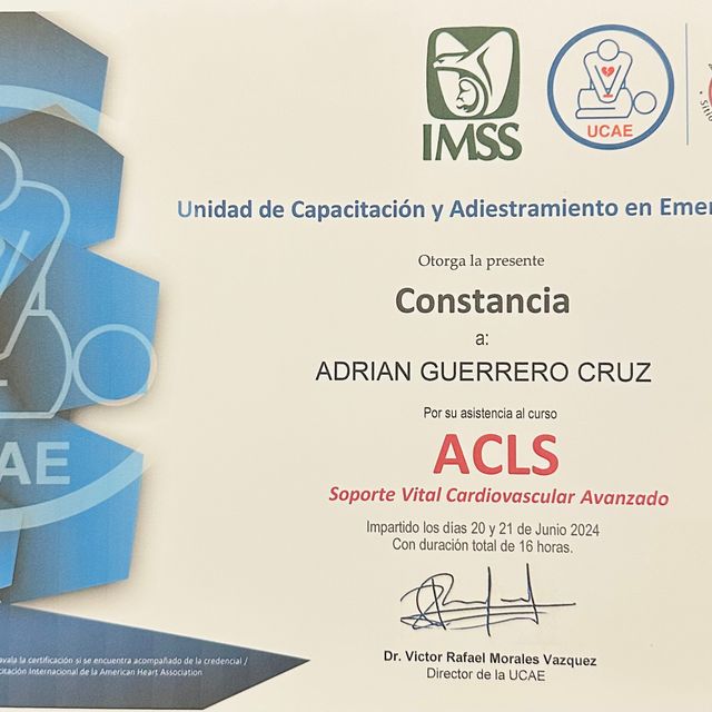 Ampliar imagen: certificate 10