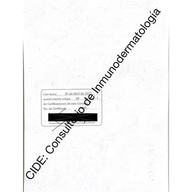 Ampliar imagen: certificate 2