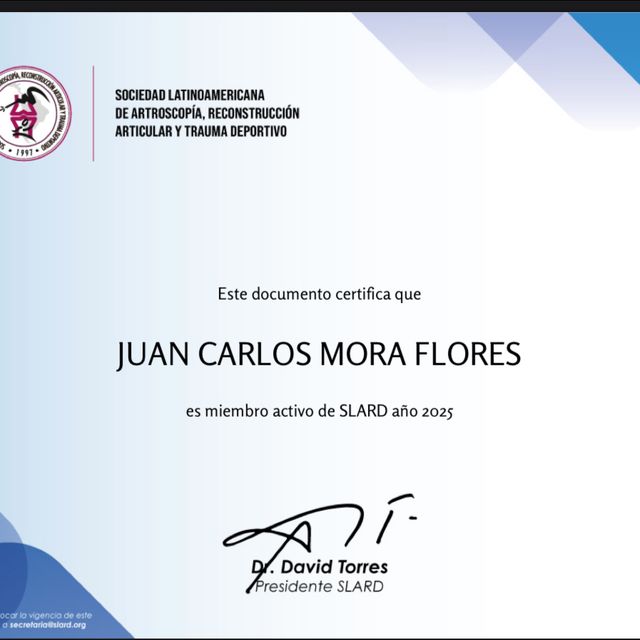 Ampliar imagen: certificate 3