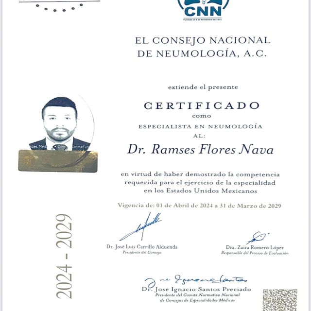 Ampliar imagen: certificate 1