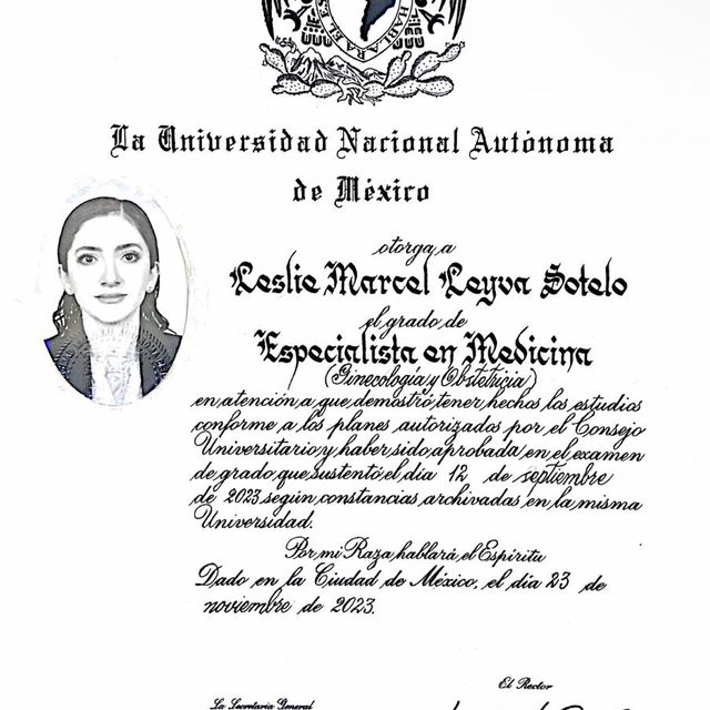 Ampliar imagen: certificate 3