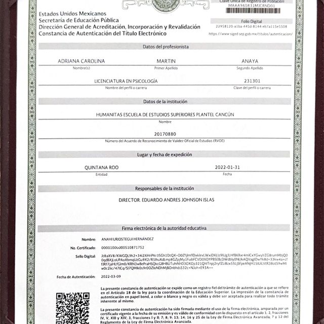 Ampliar imagen: certificate 3