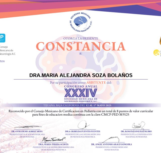 Ampliar imagen: certificate 3