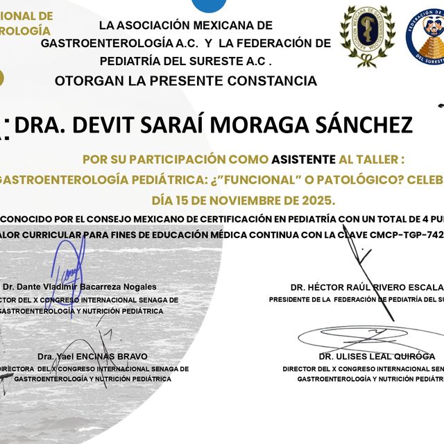 Ampliar imagen: certificate 4