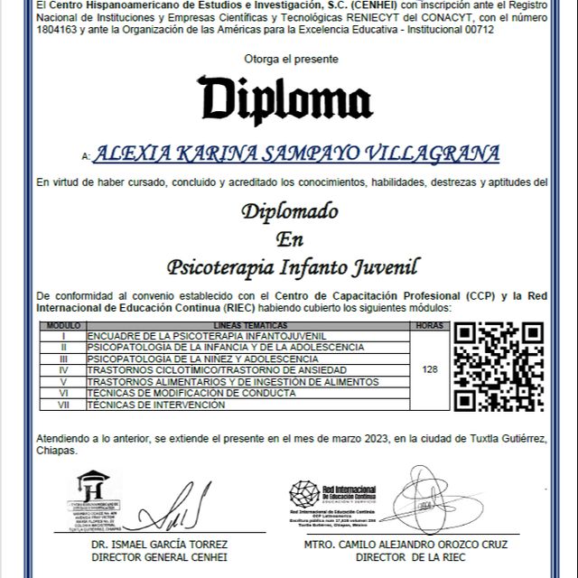 Ampliar imagen: certificate 1