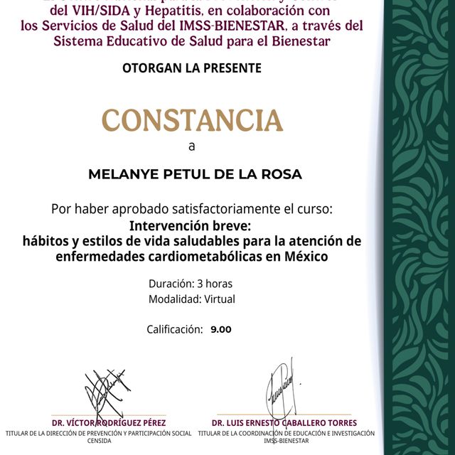 Ampliar imagen: certificate 4